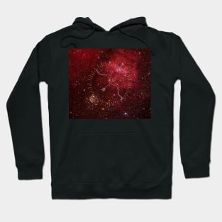 Sagittarius zodiac sign Hoodie